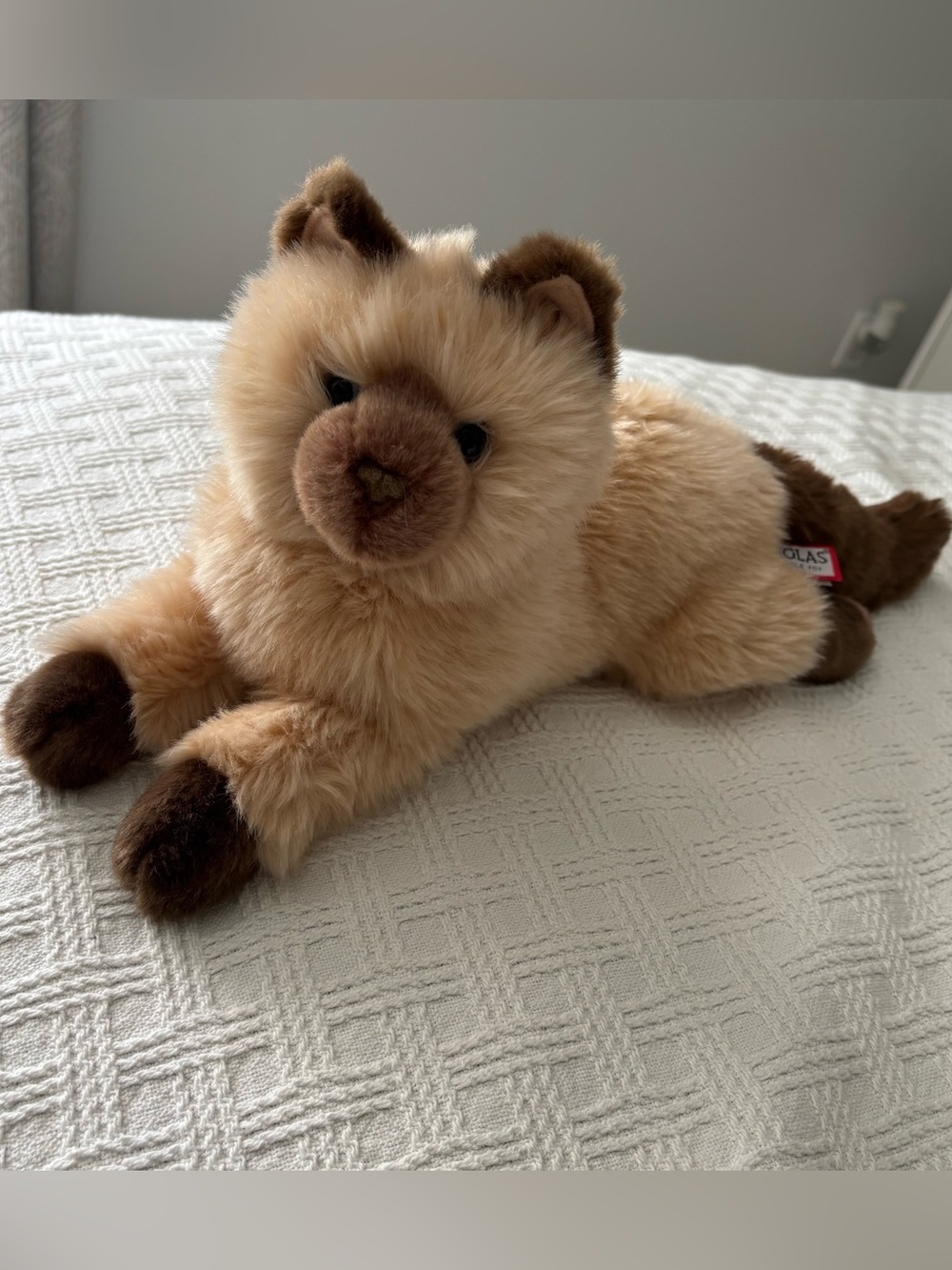 Douglas Sebastian Himalayan Cat 19" Plush Toy #280